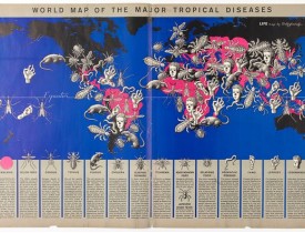 World Map of the Major Tropical Diseases