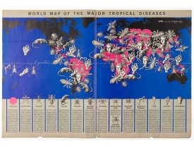  World Map of the Major Tropical Diseases