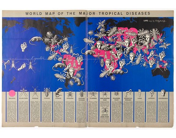World Map of the Major Tropical Diseases
