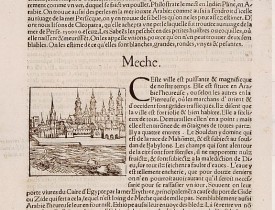 DU PINET,A. -  Meche.