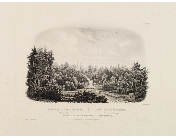 BODMER, C. - Forest scene on the Tobihanna; Alleghany Mountains. BODMER, C. - Forest scene on the Tobihanna; Alleghany Mountains.