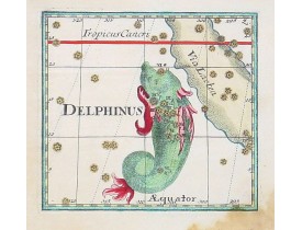 BERNDT, J.C. -  Delphinus. BERNDT, J.C. -  Delphinus.