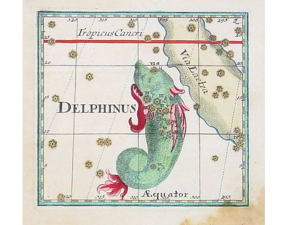 BERNDT, J.C. - Delphinus. BERNDT, J.C. - Delphinus.