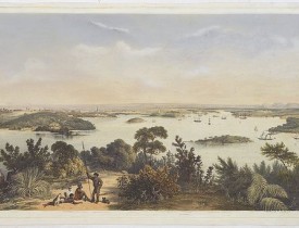 ANGAS, G.F. -  (The City And Harbour Of Sydney From Near Vaucluse.)