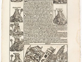 SCHEDEL, H. -  Quinta Etas Mudi. Folium. LXV (With view of Babylon)