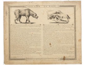 BALTARD, LP. -  Notice sur la Rage.