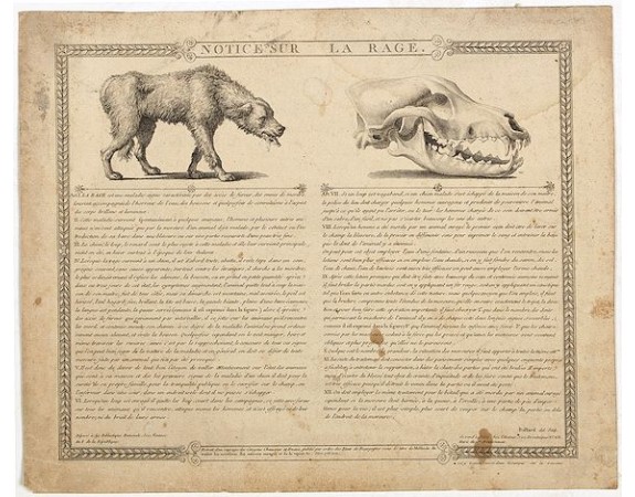 A broadsheets etching with two vignettes and extensive descriptive text about rabies, how to rescue a flooded person and about child born without sign of life.<br />Composed by François Chaussier and etched by L. Baltard.<br /><br /> Fra