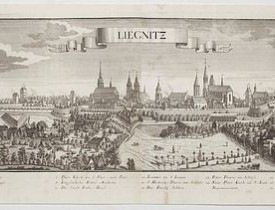 WOLFF, J. heirs / WERNER, F. B. -  Lirgnitz. (Legnica)