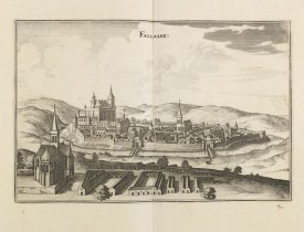 MERIAN, M. -  Fallaise.