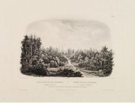 BODMER, C. -  Forest scene on the Tobihanna; Alleghany Mountains.