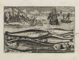 COLLAERT, A. (after). -  Faber piscis, Asellus minor, Conger, Alburinus. (Piscium Vivæ Icones - Fish).